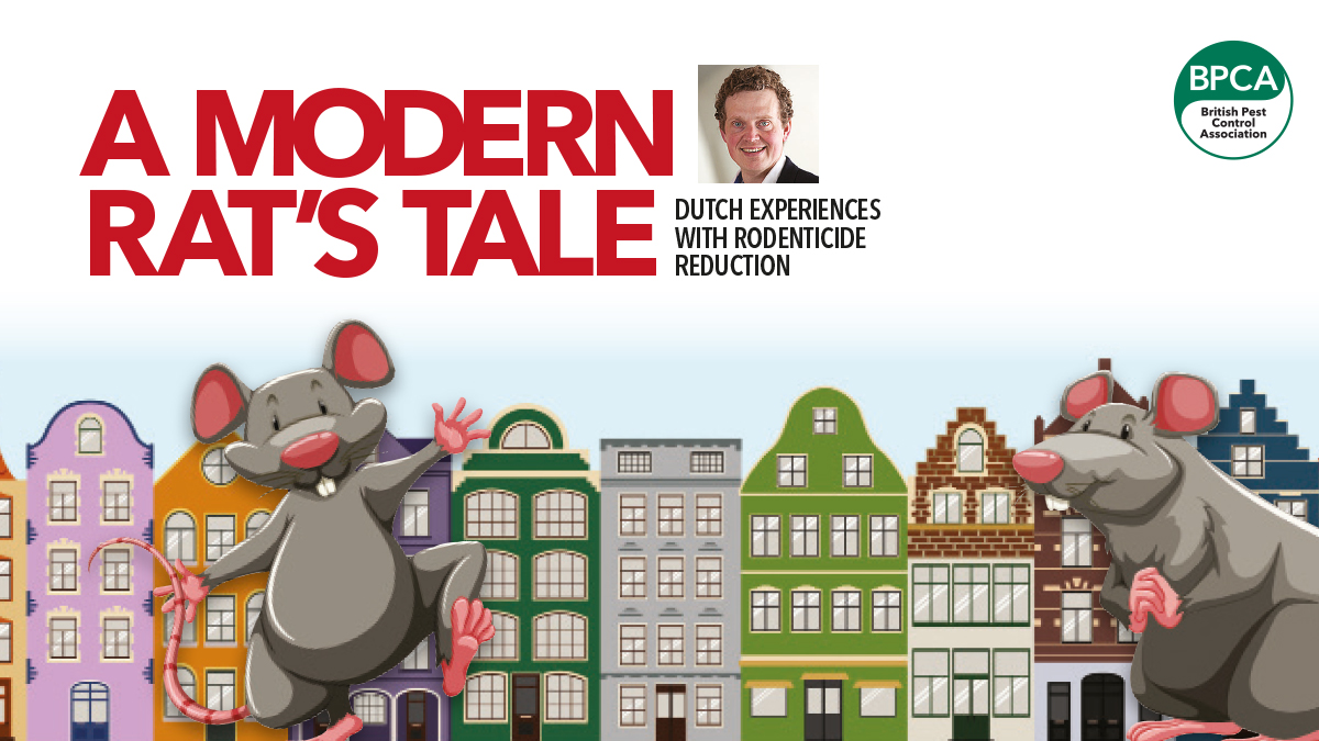 modern-rats-tale-dutch-experience-main-image modern-rats-tale-dutch-experience-main-image
